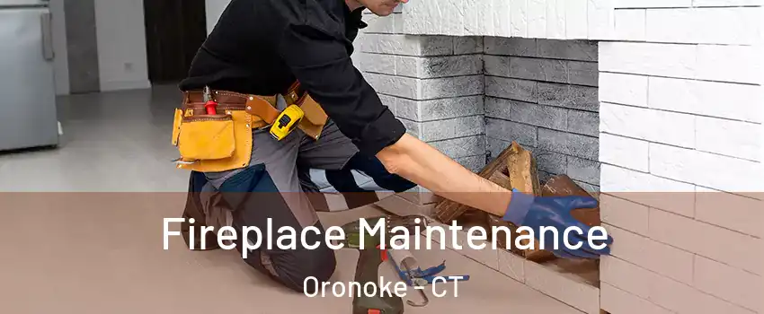 Fireplace Maintenance Oronoke - CT