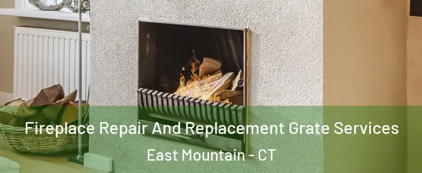 Fireplace Repair And Replacement Grate Services East Mountain - CT