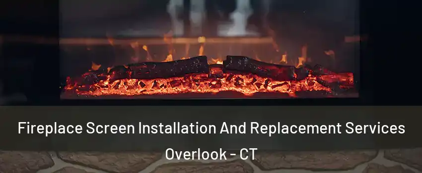 Fireplace Screen Installation And Replacement Services Overlook - CT