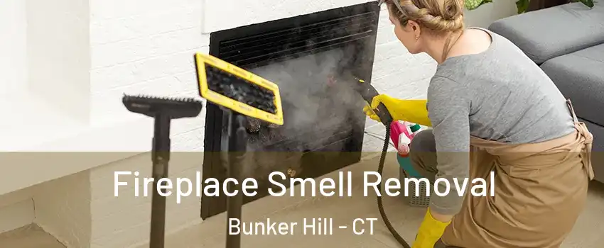 Fireplace Smell Removal Bunker Hill - CT