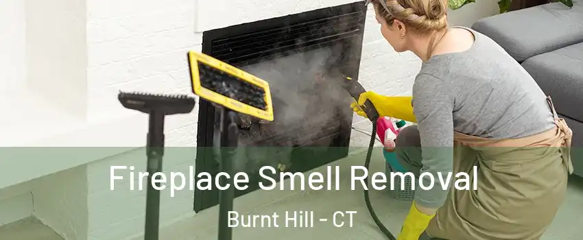 Fireplace Smell Removal Burnt Hill - CT