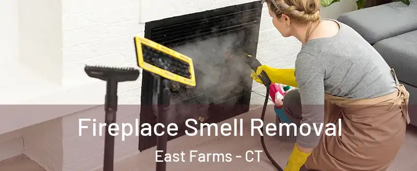 Fireplace Smell Removal East Farms - CT