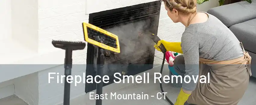 Fireplace Smell Removal East Mountain - CT