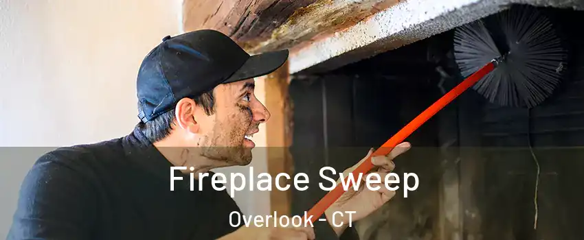 Fireplace Sweep Overlook - CT