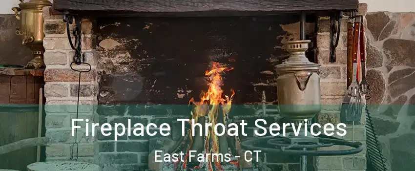 Fireplace Throat Services East Farms - CT