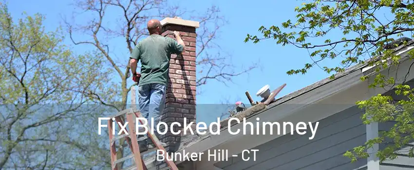 Fix Blocked Chimney Bunker Hill - CT