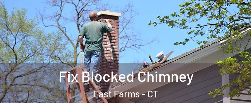 Fix Blocked Chimney East Farms - CT