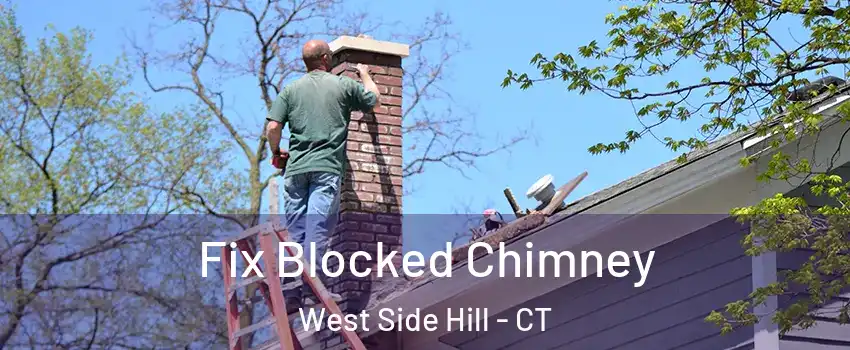 Fix Blocked Chimney West Side Hill - CT