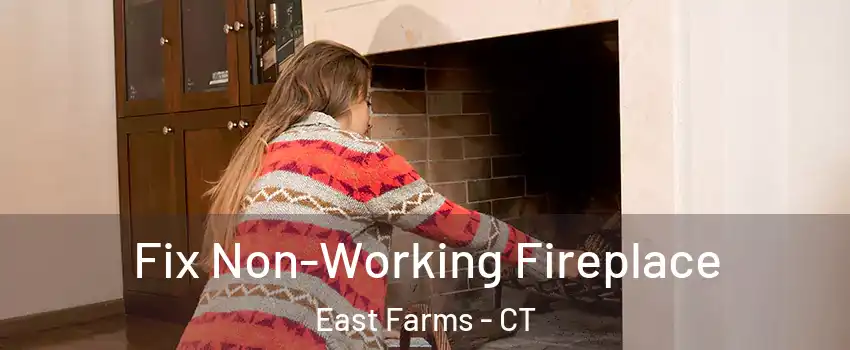 Fix Non-Working Fireplace East Farms - CT