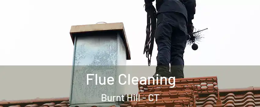 Flue Cleaning Burnt Hill - CT