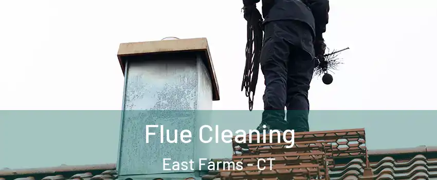 Flue Cleaning East Farms - CT