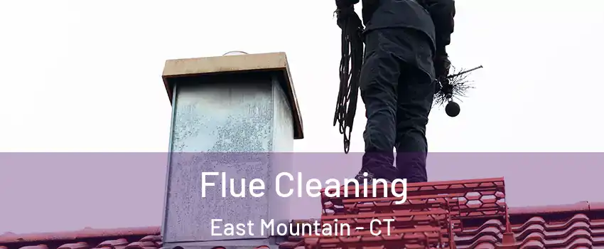 Flue Cleaning East Mountain - CT