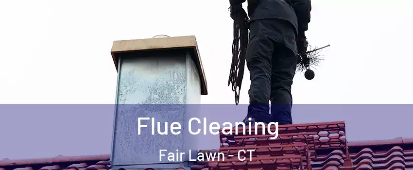 Flue Cleaning Fair Lawn - CT