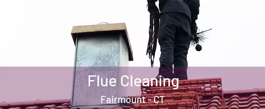 Flue Cleaning Fairmount - CT