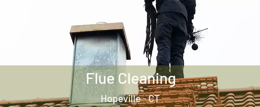 Flue Cleaning Hopeville - CT