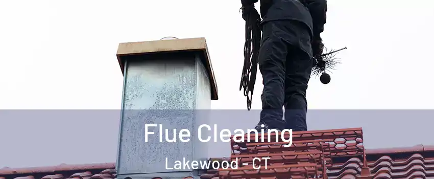 Flue Cleaning Lakewood - CT