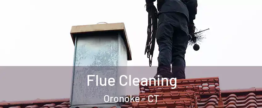 Flue Cleaning Oronoke - CT