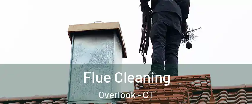 Flue Cleaning Overlook - CT