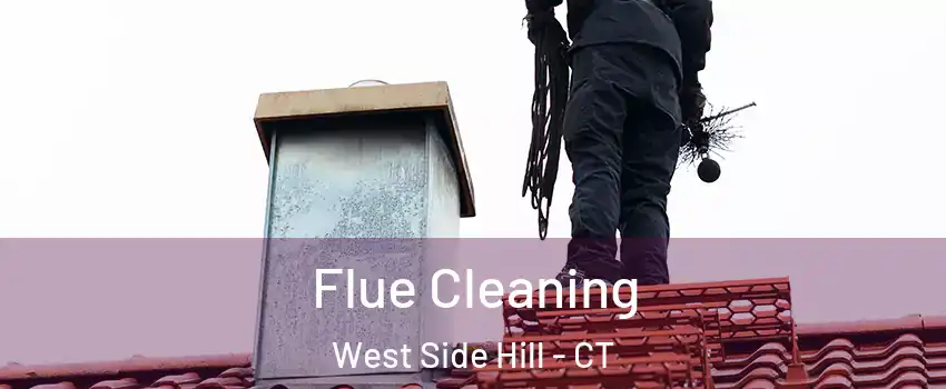 Flue Cleaning West Side Hill - CT