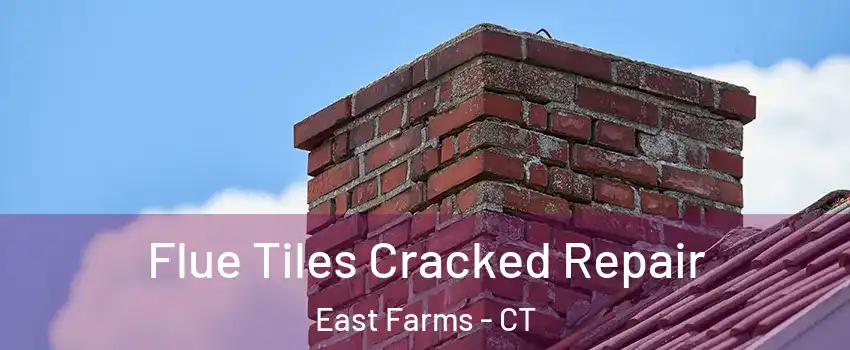 Flue Tiles Cracked Repair East Farms - CT