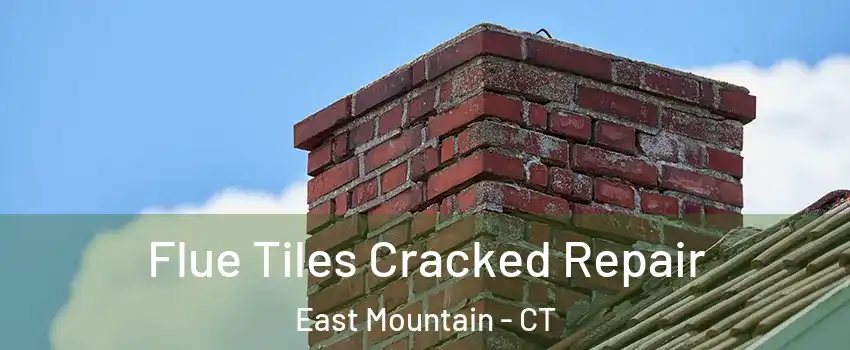 Flue Tiles Cracked Repair East Mountain - CT