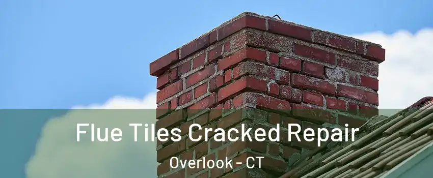 Flue Tiles Cracked Repair Overlook - CT