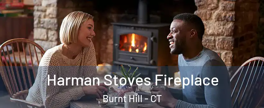 Harman Stoves Fireplace Burnt Hill - CT