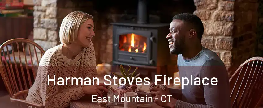 Harman Stoves Fireplace East Mountain - CT