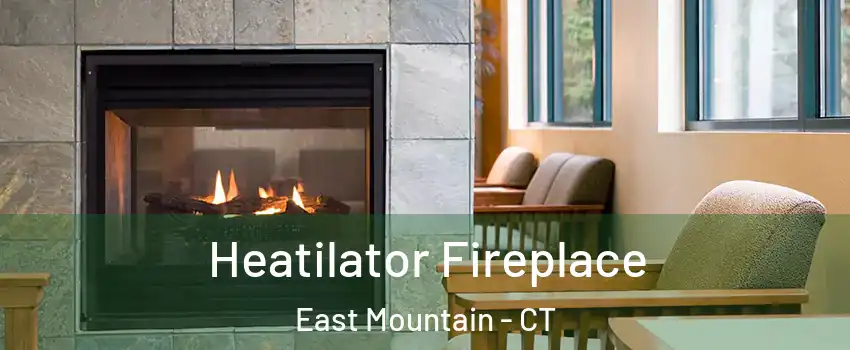 Heatilator Fireplace East Mountain - CT