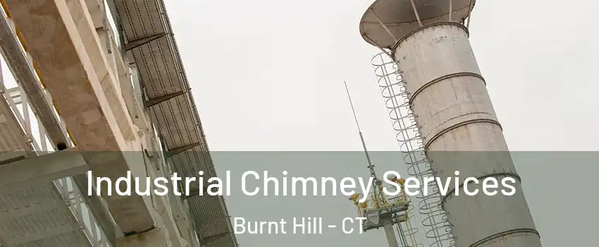 Industrial Chimney Services Burnt Hill - CT