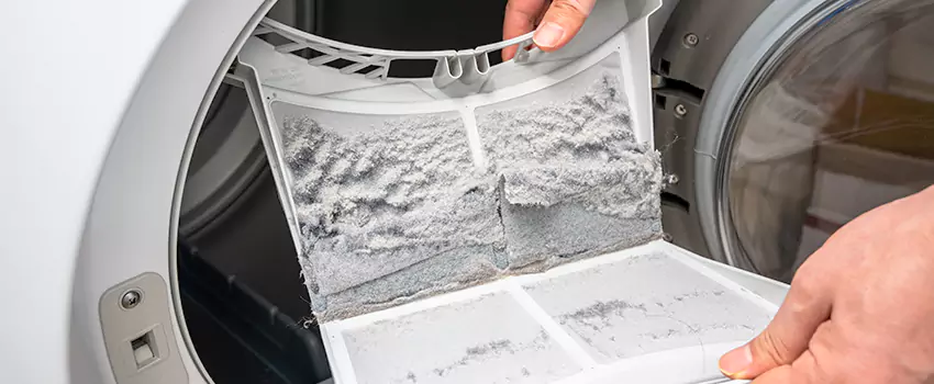 Best Dryer Lint Removal Company in East Mountain, Connecticut