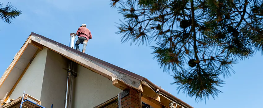 Birds Removal Contractors from Chimney in East Mountain, CT