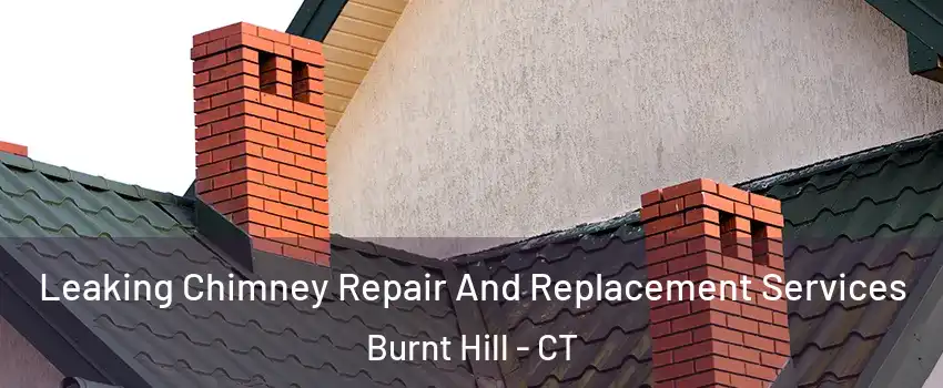 Leaking Chimney Repair And Replacement Services Burnt Hill - CT