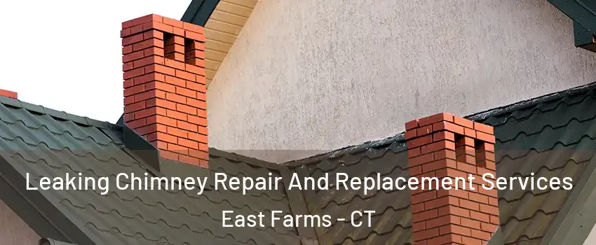 Leaking Chimney Repair And Replacement Services East Farms - CT