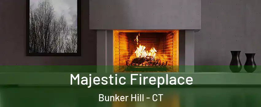 Majestic Fireplace Bunker Hill - CT