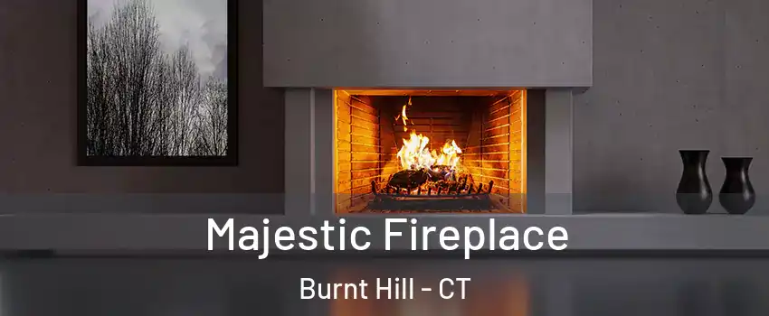 Majestic Fireplace Burnt Hill - CT