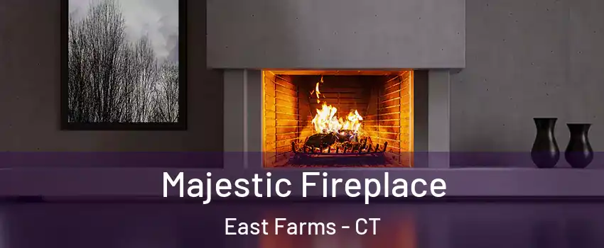 Majestic Fireplace East Farms - CT