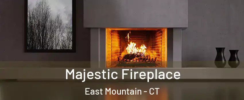 Majestic Fireplace East Mountain - CT