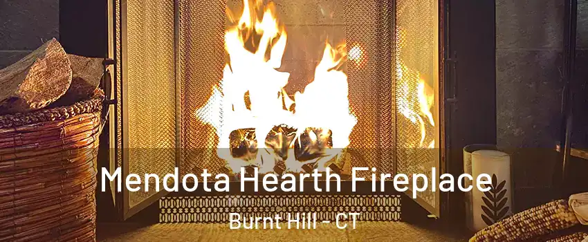 Mendota Hearth Fireplace Burnt Hill - CT