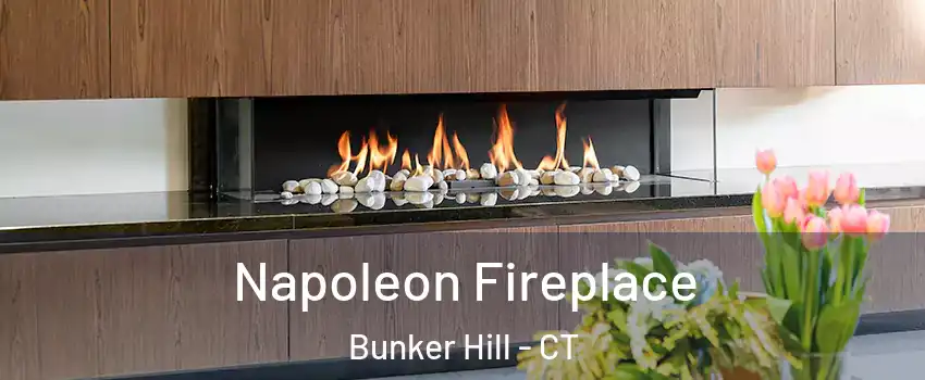 Napoleon Fireplace Bunker Hill - CT