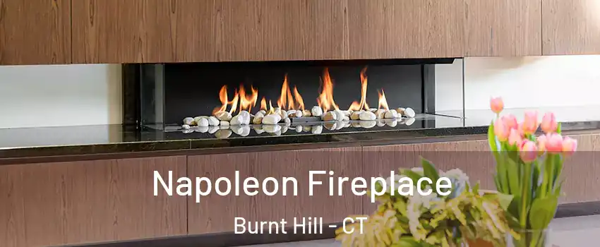 Napoleon Fireplace Burnt Hill - CT