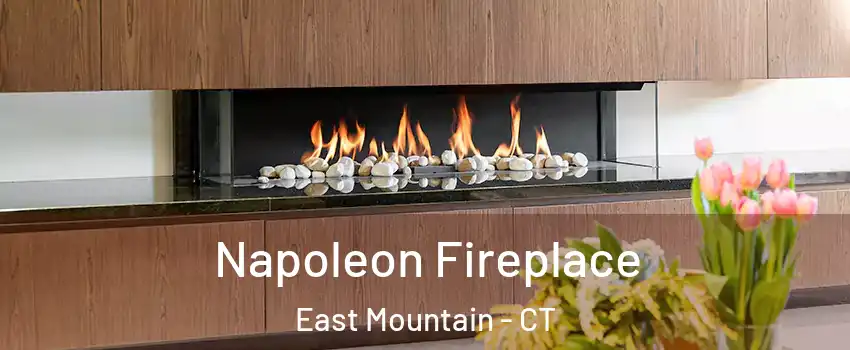 Napoleon Fireplace East Mountain - CT