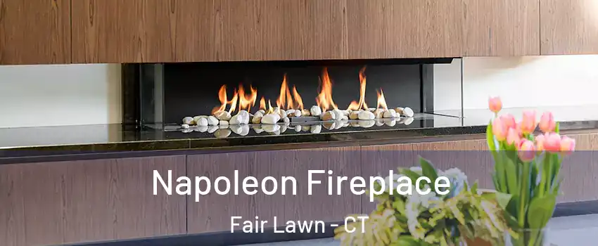 Napoleon Fireplace Fair Lawn - CT