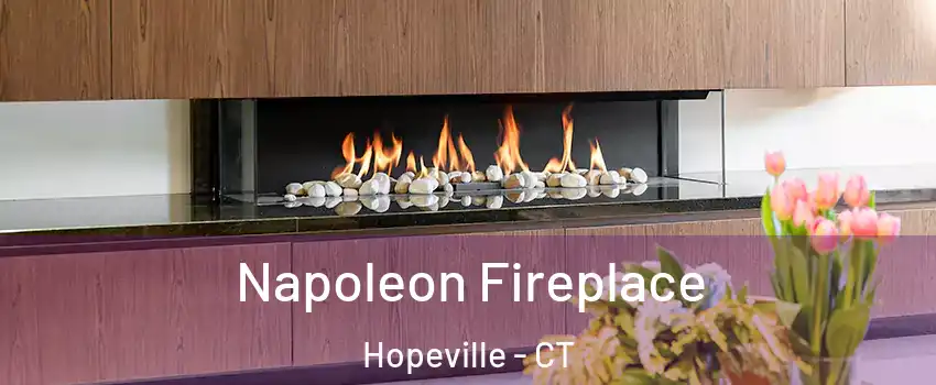 Napoleon Fireplace Hopeville - CT