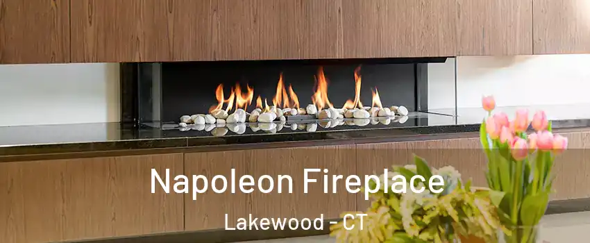 Napoleon Fireplace Lakewood - CT