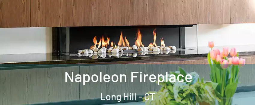 Napoleon Fireplace Long Hill - CT