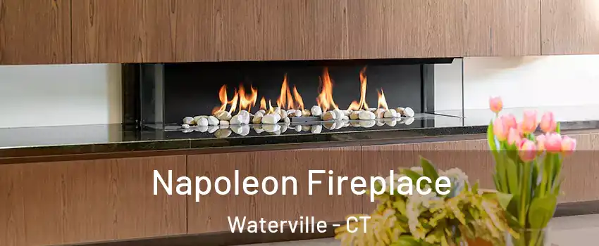 Napoleon Fireplace Waterville - CT