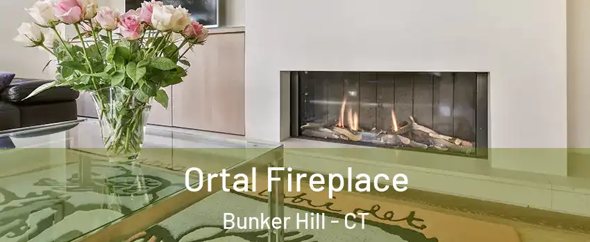 Ortal Fireplace Bunker Hill - CT