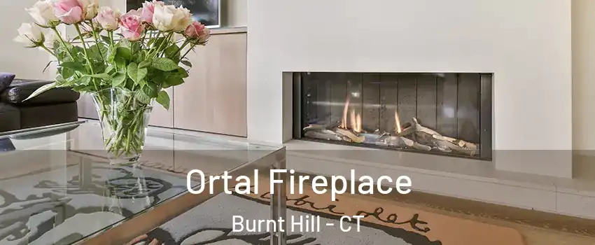 Ortal Fireplace Burnt Hill - CT