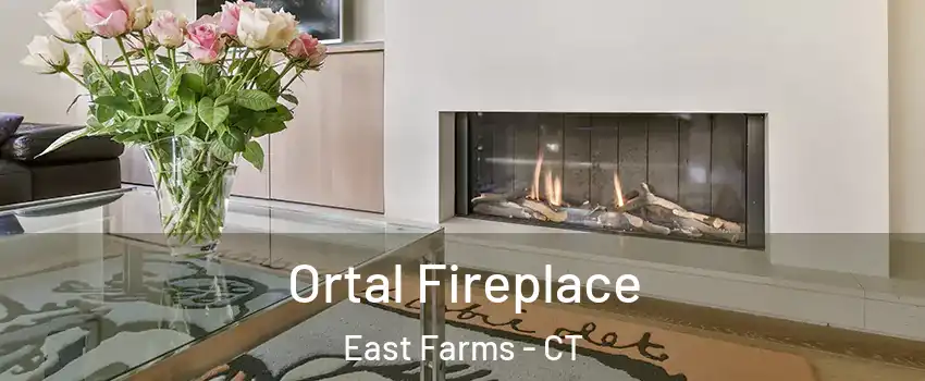 Ortal Fireplace East Farms - CT